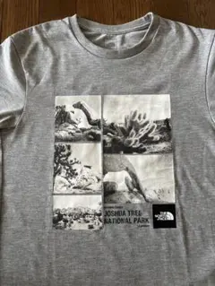 THE NORTH FACE ジョシュアツリーTシャツ Sサイズ グレー