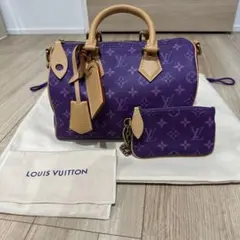 「美品 レア」LOUIS VUITTON スピーディP9 パンドリエール25