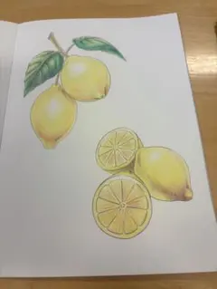 レモンの色鉛筆画 A4サイズ お値下げ可能です✨️