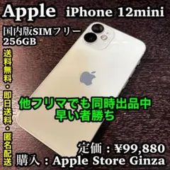 ✨国内版SIMフリーモデル✨Apple iPhone 12mini 256GB