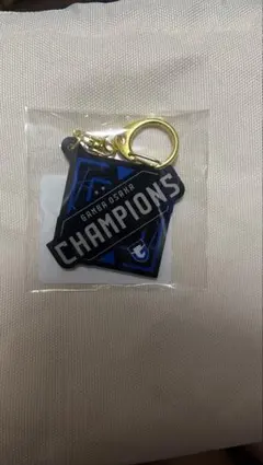 ガンバ大阪 ACL2優勝記念 アクリルキーホルダー