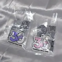 【最安値】ポケモン メタルチャームマスコット め じるし 30周年 セット