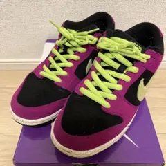 NIKE SB DUNK LOW PRO 