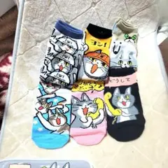 現場猫　仕事猫　ソックスセット