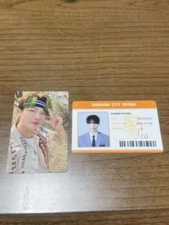 &TEAM NICHOLAS ニコラス トレカ 学生証2枚セット