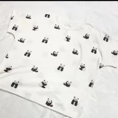 ジェラピケ パンダ柄 セットアップ4/3(金)まで