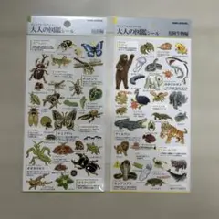 【正規品未開封】大人の図鑑シール　昆虫編　危険生物編
