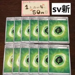 基本草エネルギー　sv新デザイン　12枚　ポケモンカードゲーム　ポケモンカード