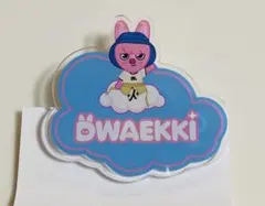 Stray Kids グッズ ランダムネームバッジ 東京 SKZOO チャンビン