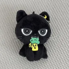 八木勇征　メンプロ　クーウィ