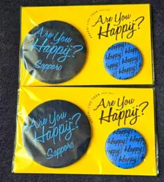 【新品未開封】嵐 Are You Happy 会場限定 缶バッジ 青 札幌 2点