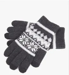 手袋 防寒 ニットスマホ対応 裏起毛 通勤 通学 自転車 メンズ レディース