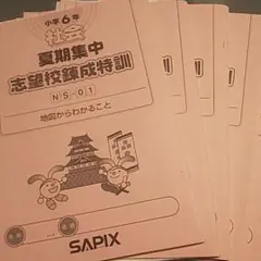 2025年最新】サピックス志望校錬成の人気アイテム - メルカリ