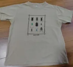 mont-bell Tシャツ 150 甲虫 ベージュ 半袖のサムネイル