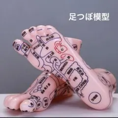 足ツボ 模型 ツボ マッサージ 健康 練習 ダイエット 整体 教材のサムネイル