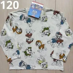 【パウパトロール】マーシャル☆チェイス☆ラブル 総柄 ロンT 120