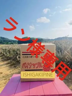 【ラン様専用】石垣島ピーチパイン3.5キロ（送料込み）