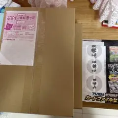 ブラックボルト・ホワイトフレア カードファイルセット3個