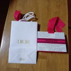 DIOR ディオールショッパー ギフトバッグ 2点セット リボン付き ショップ袋のサムネイル