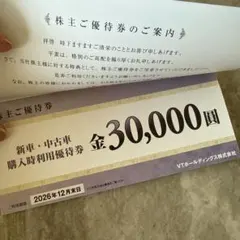 VT HOLDINGS 株主優待券 40,000円分