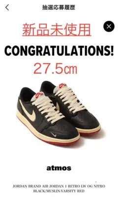 AIR JORDAN 1 RETRO LOW Nigel Sylvester