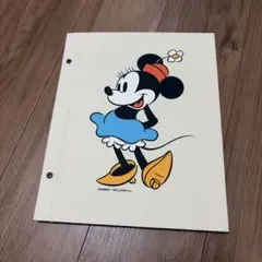 (かよち様専用)ミニー、ミッキーアルバス アルバム2冊セット