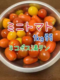 ミニトマト１kg弱のサムネイル