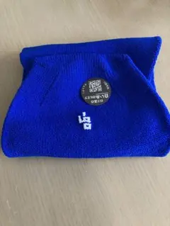 Item thumbnail for item c2f4be2e-2859-47fb-8170-c1e32766b0df