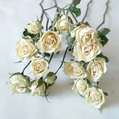 サファイア様 リクエスト 2点 まとめ商品