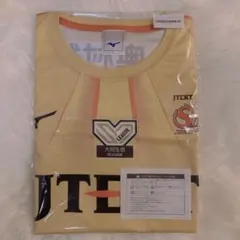 新品未使用 レプリカユニフォーム　宮浦健人 Lサイズ ジェイテクトstings 宮浦健人 レプリカユニフォーム ジェイテクトSTINGS愛知