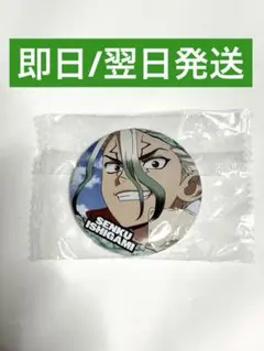 Dr.STONE 場面写缶バッジ4 石神千空 - メルカリ
