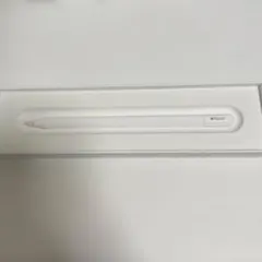 Apple Pencil (USB-C) 元箱付き
