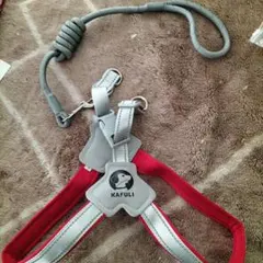 Item thumbnail for item af7e8cde-1a25-433a-b4ff-ed00c6a35118