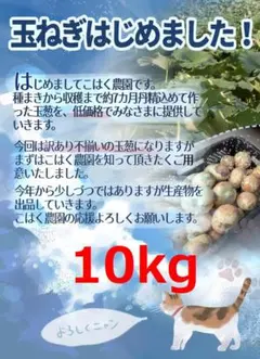 こはく農園 佐賀県産 玉ねぎ 10kg 訳ありのサムネイル
