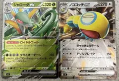 ポケモンカード ジャローダex ノココッチex 2枚セット
