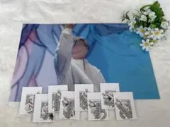 STPR Family EXPOふぁみくじ Ｂ賞 にしきくん A3クリアポスタ