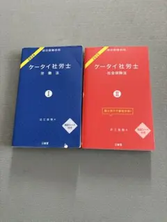 ケータイ社労士　労働法　社会保険法　2冊セットのサムネイル