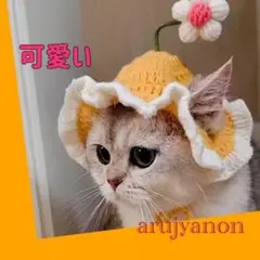 Aペット用ニット帽 猫 犬 帽子 キャットハット SNS映え ねこ いぬ 花