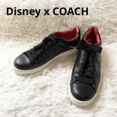 Item thumbnail for item e2944462-c6e8-4728-82c3-f04834a4bdf5