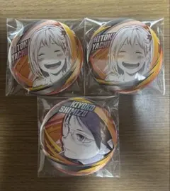 ハイキュー FUN ファンパーク 谷地仁花 清水潔子 缶バッジ 3個セット