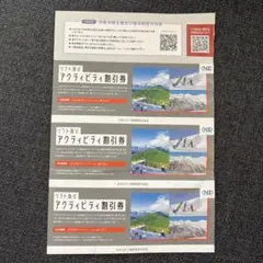 日本駐車場開発 リフト及びアクティビティ割引券３枚