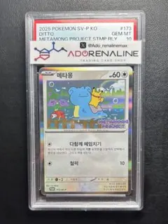 PSA 10 イマクニ？のドゴーム Promo T トレーナーズマガジンプロモ