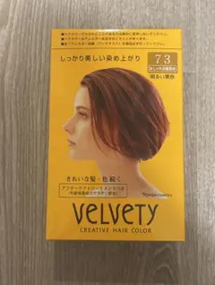 （まとめ購入可）ナリス ベルベッティクリエイティブヘアカラー 73 明るい栗色 まとめ購入可）ナリス ベルベッティクリエイティブヘアカラー 73