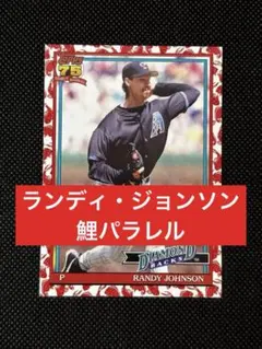 2026年最新】randy johnsonの人気アイテム - メルカリ