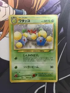 ワタッコ　旧裏