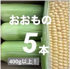 72【ご購入後収穫】400g以上！スイートコーン（おおもの）　5本のサムネイル