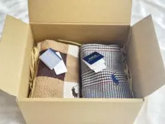 Polo Ralph Lauren ハンカチ 2枚セットメンズ新品未使用タグ付き