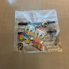 ディズニー　雨の日限定ドナルドデイジー　チャーム