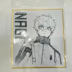 ブルーロック ミニ色紙 色紙 ドンキ　凪誠士郎　ドン・キホーテ　ドンキホーテ