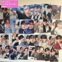 straykids スキズ チャンビン トレカ 61枚セット
